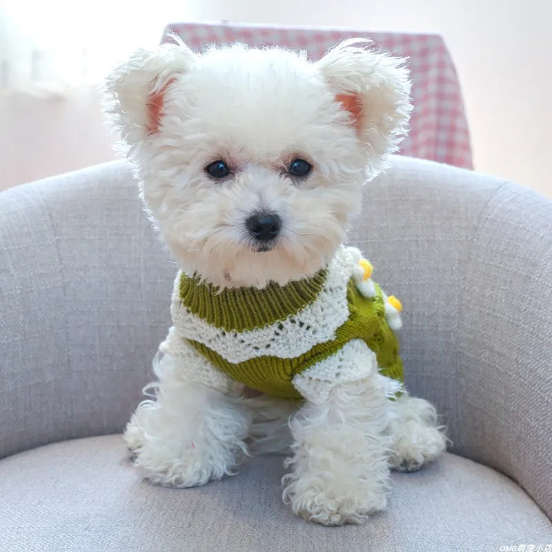 Kawaii Flower Knitwear for Pet - KAWAII LULU
