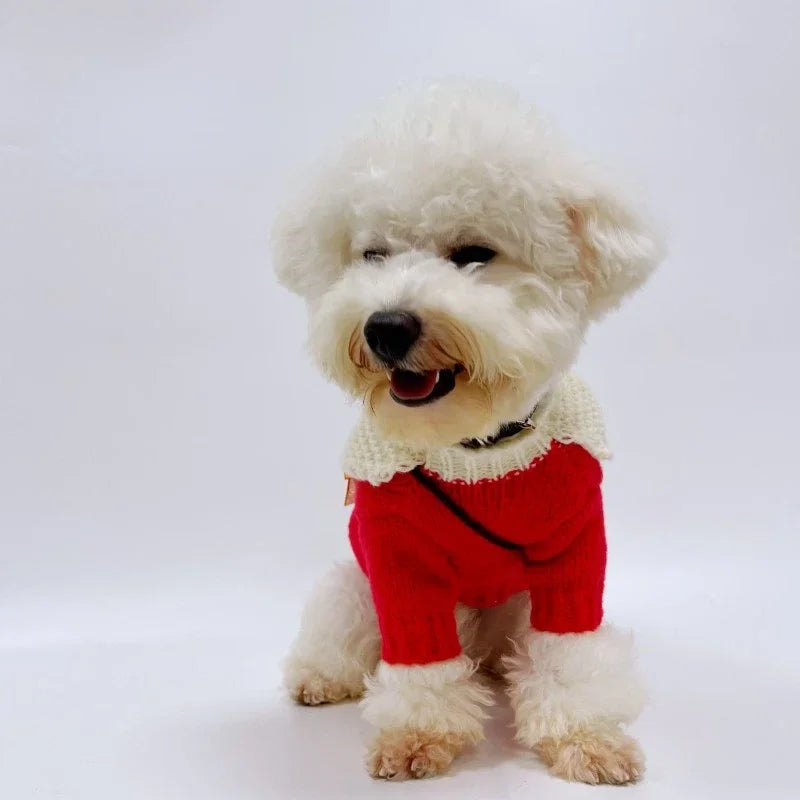 Kawaii Christmas Pet Sweater