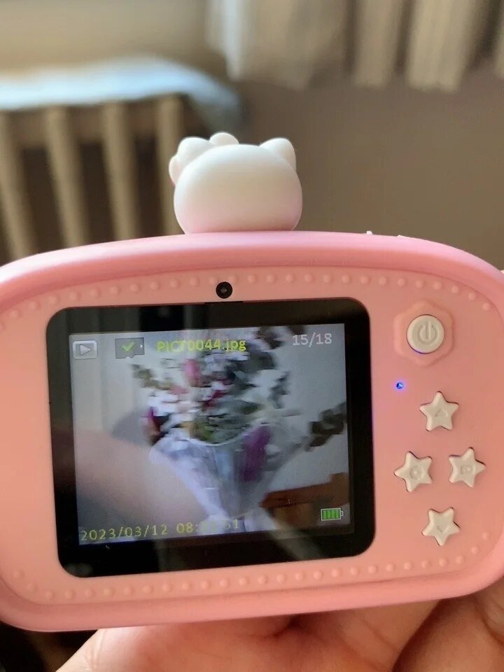 Kawaii Hello Kitty Camera - KAWAII LULU